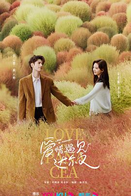 大理企业站网站优化